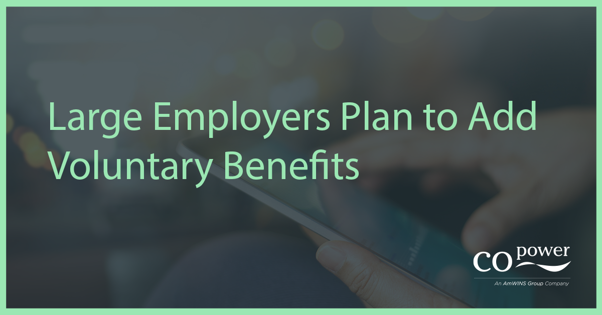 voluntary benefits large employers